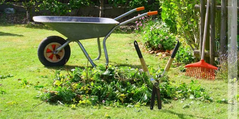 Gartenpflege - wohin mit den Gartenabfällen?