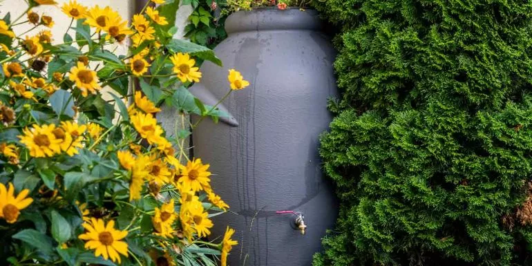 Wie Du Wasser im Garten sparen kannst – 5 Tipps, die Dir garantiert helfen